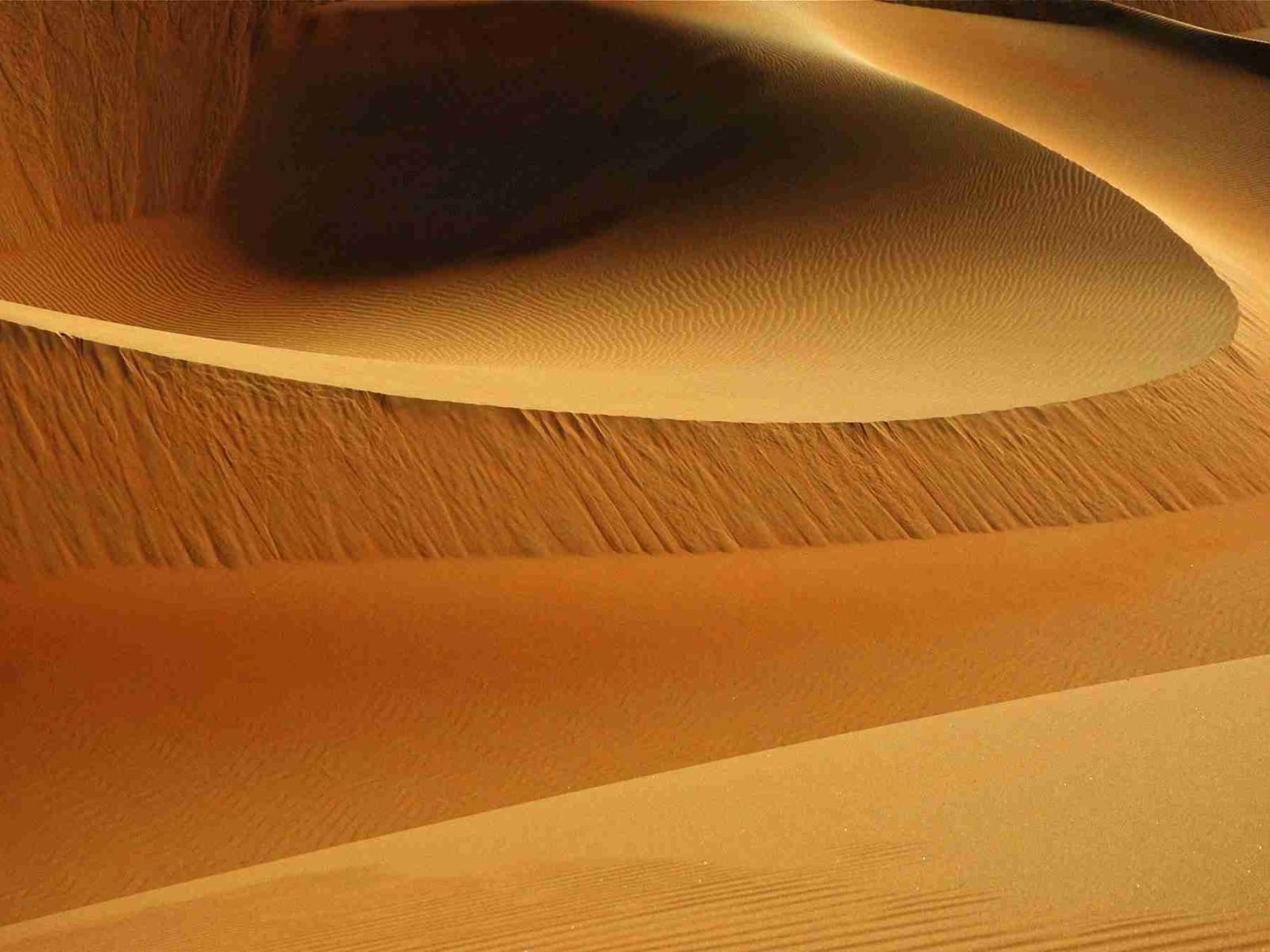 brown sandy picture